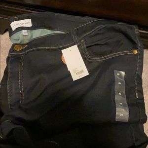 New with tag lane bryant jeans